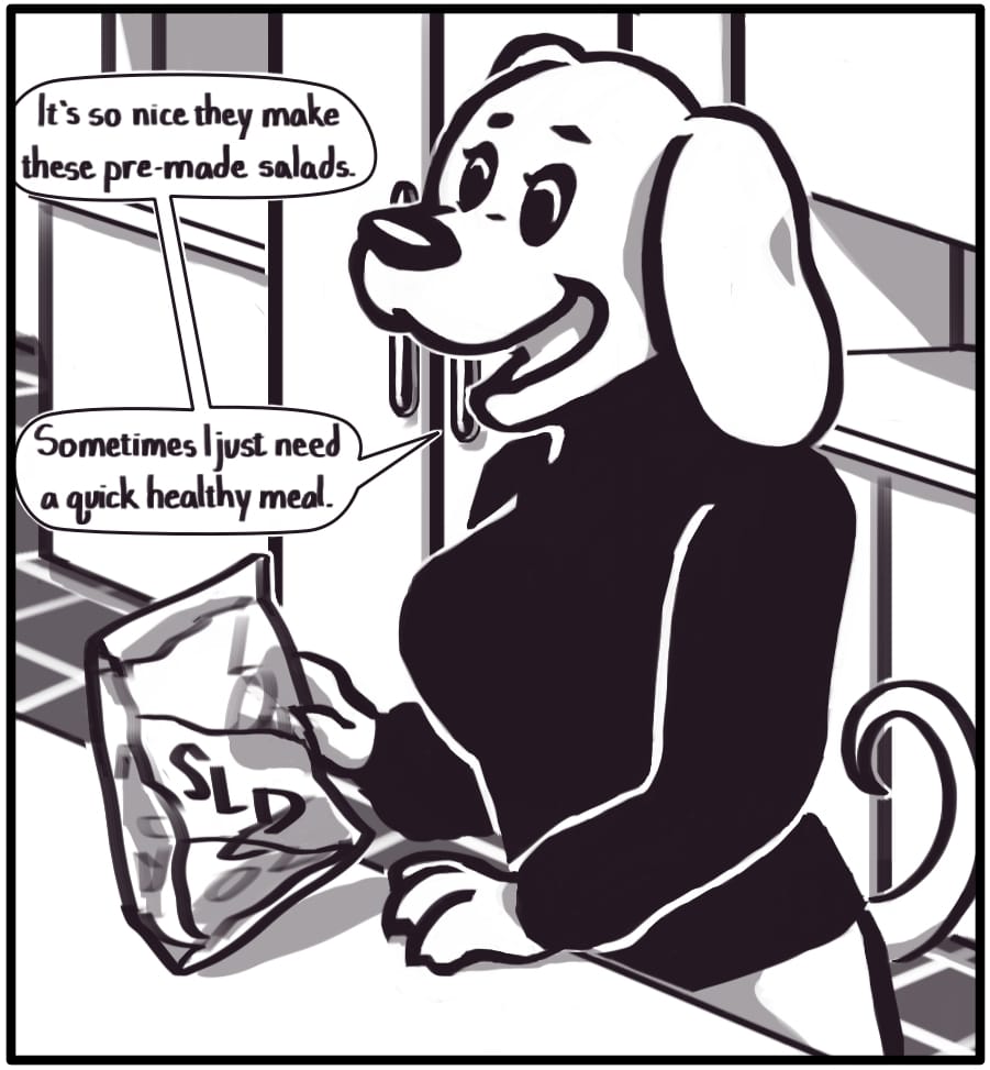 Panel 2: A woman stands holding a bag labeled “SLD” over a kitchen countertop. She smiles pleasantly and says to herself, “It’s so nice they make these pre-made salads.” “Sometimes I just need a quick healthy meal.”
