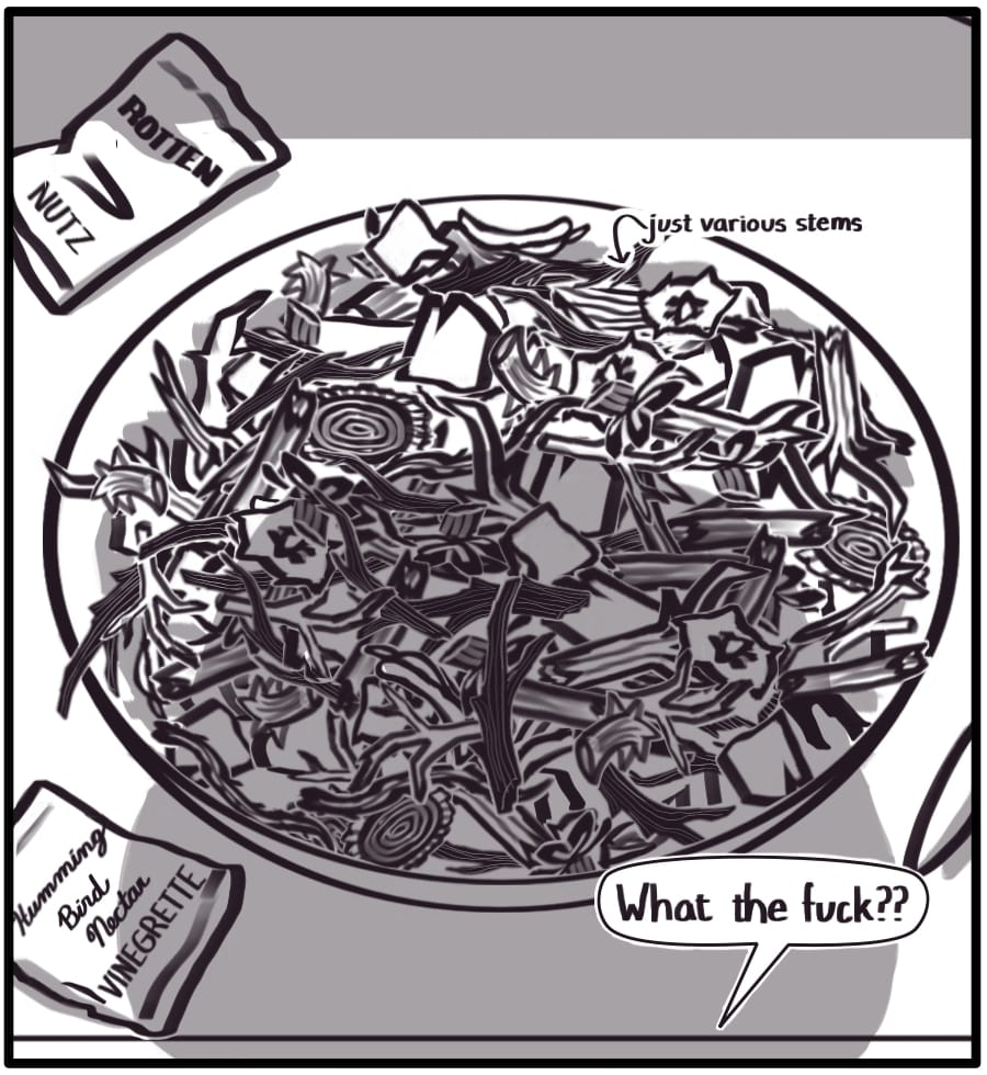 Panel 4: A closer look at the bowl reveals the SLD: just various, inedible stems and some packets. One packet is labeled “ROTTEN NUTZ” and the other, “Humming Bird Nectar VINEGRETTE.” “What the fuck??” The woman says from off screen.